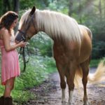 8 Ways To Quickly Lower Your Steed's Tension